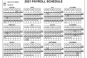 DOI Payroll Calendar 2025