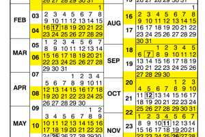 Government Payroll Calendar 2025