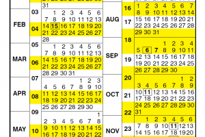Pay Period Calendar 2025