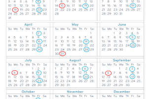 State of Idaho Payroll Calendar 2025