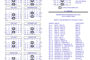 State of New York Payroll 2025