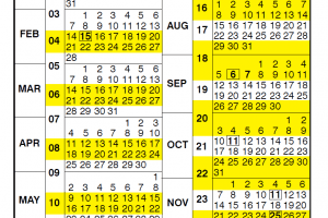 NFC Payroll Calendar 2025