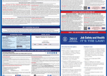 Labor Law Posters 2025