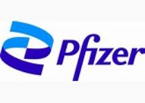 Pfizer Payroll Calendar 2022