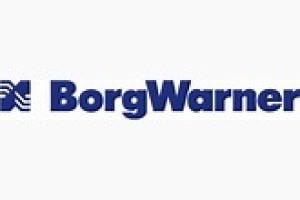 BorgWarner Payroll Calendar 2025