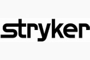 Stryker Payroll Calendar 2025
