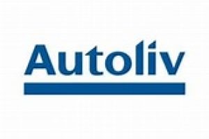 Autoliv Pay Schedule 2025