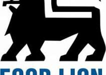 Food Lion Pay Schedule 2023