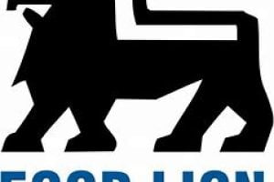 Food Lion Pay Schedule 2025