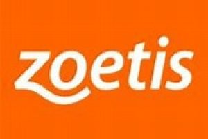 Zoetis Pay Schedule 2025